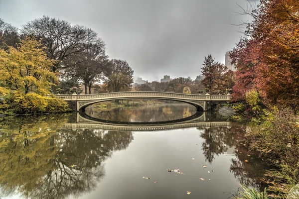 Луковый мост — стоковое фото