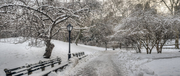 Central Park, New York City after snow storm