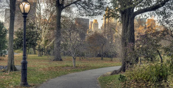 ニューヨーク市中央公園 — ストック写真