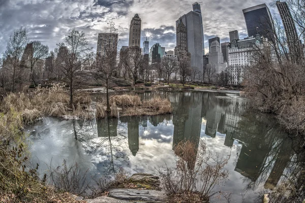 Central Park, New York City'de wonter — Stok fotoğraf