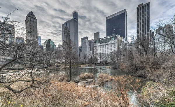 Central Park, New York City in wonter — Stock Photo, Image