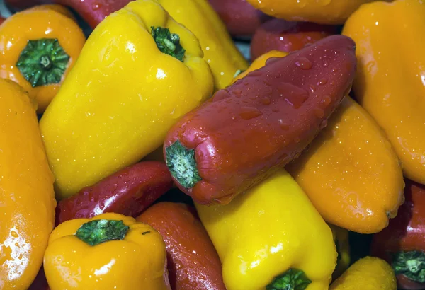 Sweet bell peppers — Stock Photo, Image