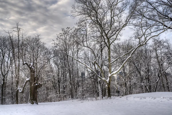 Central Park, Nova Iorque — Fotografia de Stock