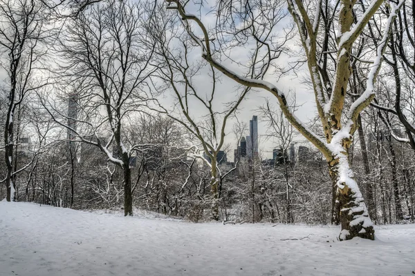 Central Park, Nowy Jork — Zdjęcie stockowe