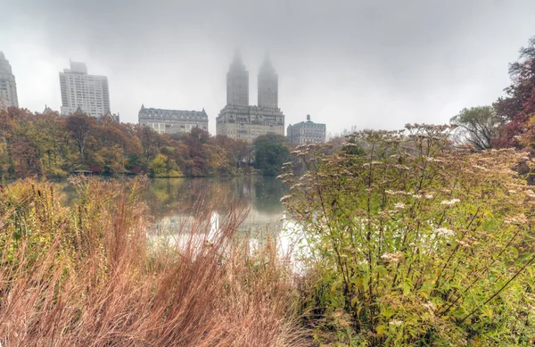 Central Park, New York City — Stock fotografie