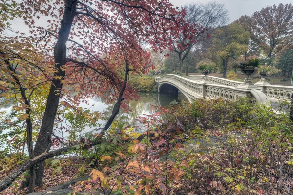 Puente de proa — Foto de Stock