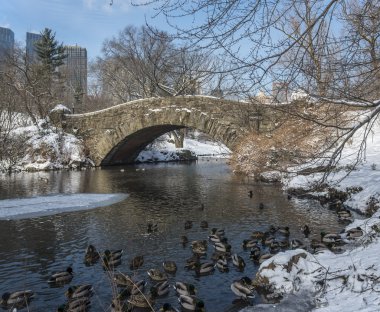 gapstow köprü central park, new york city