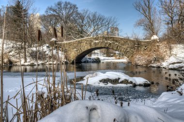 gapstow köprü central park, new york city