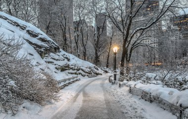 Central Park, New York Şehri