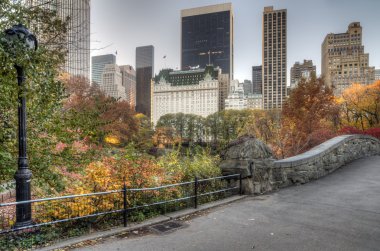 gapstow köprü central park, new york city