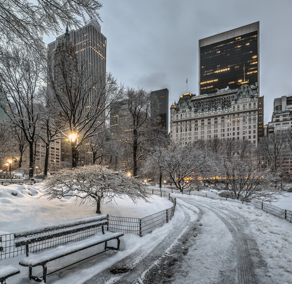 Central Park, New York City early morning after snow and ice storm