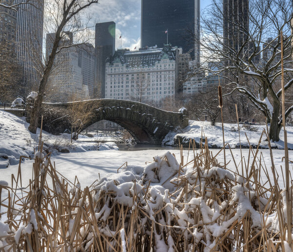 Gapstow Bridge is one of the icons of Central Park, Manhattan in New York City