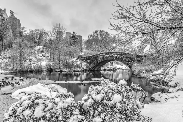 Gapstow overbruggen central park, new york city — Stockfoto