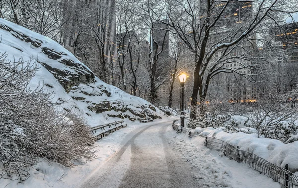 Central Park, New York City — Stock fotografie