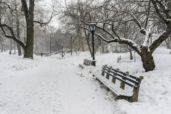 Central Park, New York City during snow storm with snow falling