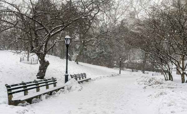 Central Park, New York City during snow storm with snow falling