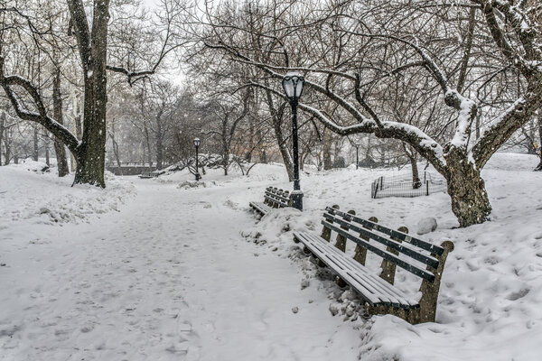 Central Park, New York City during snow storm with snow falling