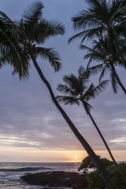 Hawaian günbatımı