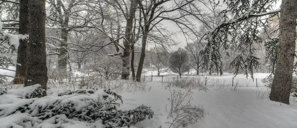 Central Park após tempestade de neve — Fotografia de Stock