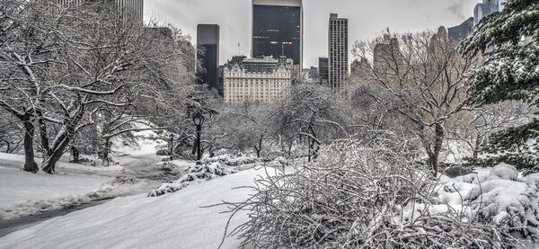 Central Park, New York City after large snow storm