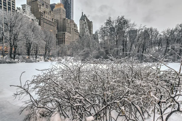 Central Park après la tempête de neige — Photo