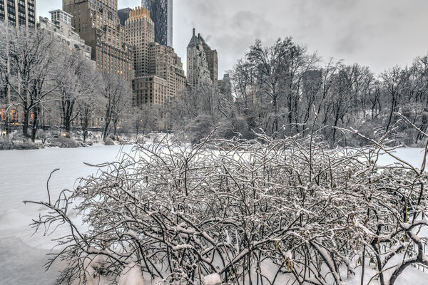 Central Park, New York City after snow storm in winter