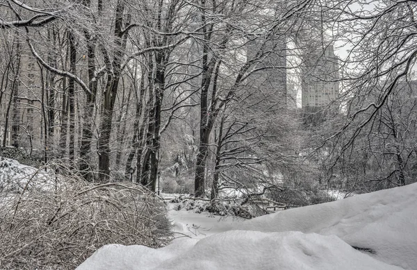 Central Park nach Schneesturm — Stockfoto