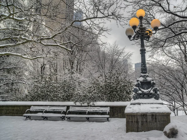 Central park na sneeuwstorm — Stockfoto