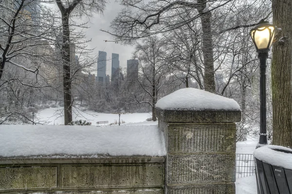 Central Park après la tempête de neige — Photo