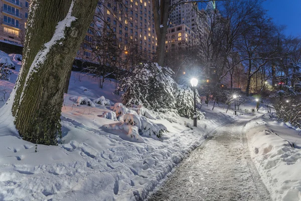 Zimní bouře Central parku v New Yorku — Stock fotografie
