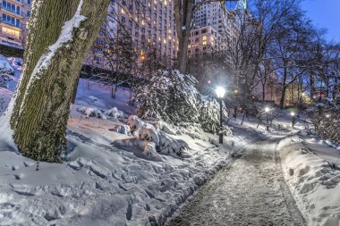 Kış fırtına Central Park, New York City