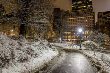 Central Park, New York Şehri
