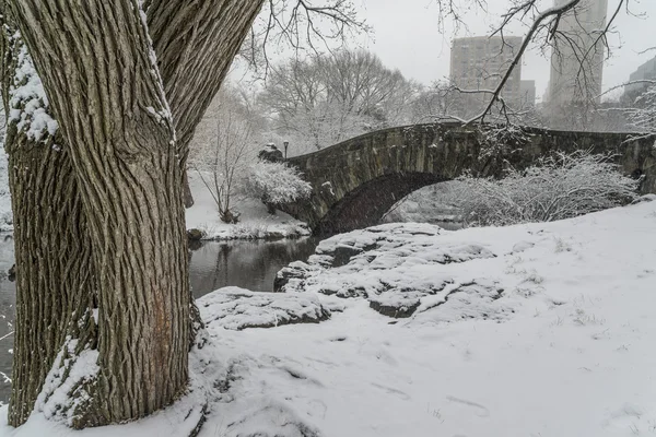 Gapstow Bridge Central Park, New York City — Stockfoto