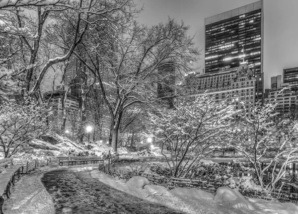 Central Park, Nowy Jork — Zdjęcie stockowe