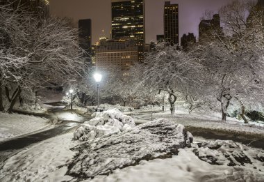 Central Park, New York Şehri