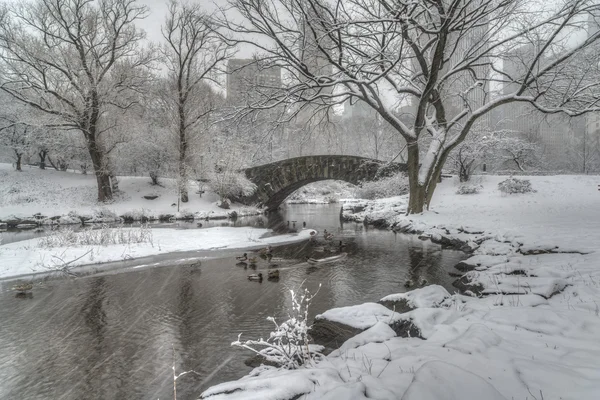 Central Park, Nowy Jork — Zdjęcie stockowe