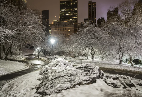 Central Park, New York City — Stock fotografie