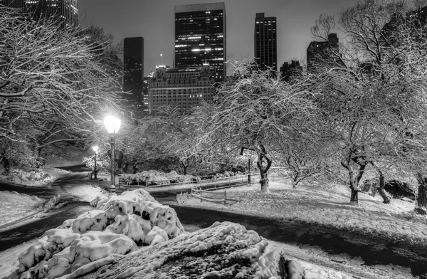 Central Park, New York — Photo