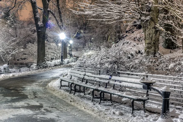 Central Park, kota New York — Stok Foto