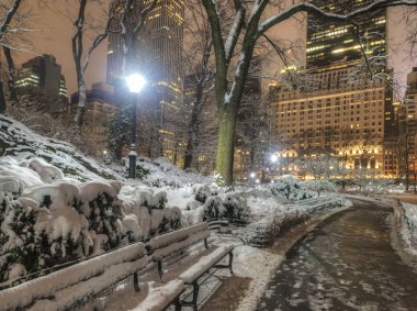 Central Park, New York Şehri