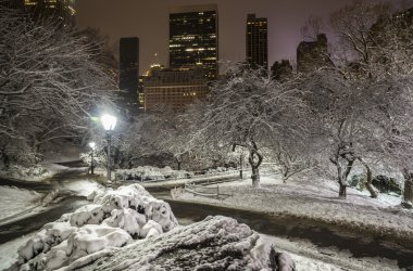 Central Park, New York Şehri