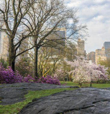 Spring Central Park, New York City clipart