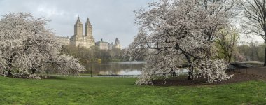 Bahar Central Park, New York City