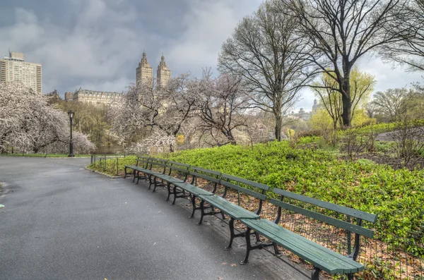 Spring Central Park, New York City — Stockfoto