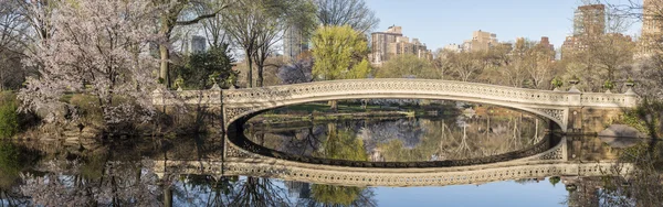Bow bridge Central Park, New York City — Stock Photo, Image