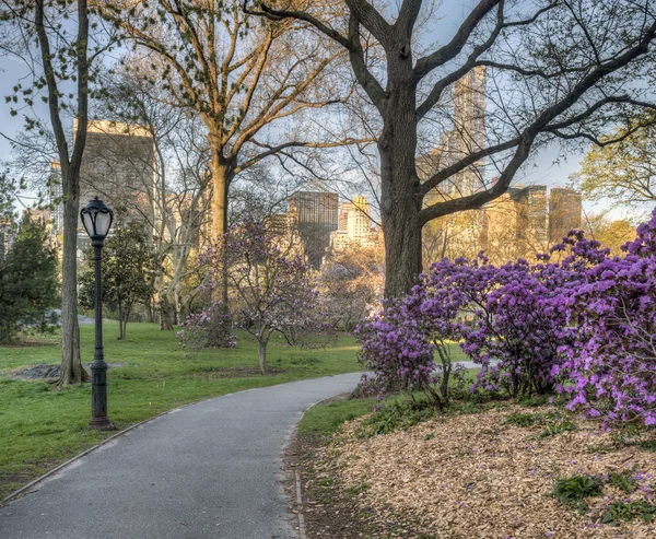 Central park wiosny — Zdjęcie stockowe