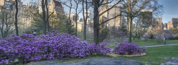 Central park våren — Stockfoto