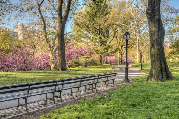 Central Park, Nueva York —  Fotos de Stock