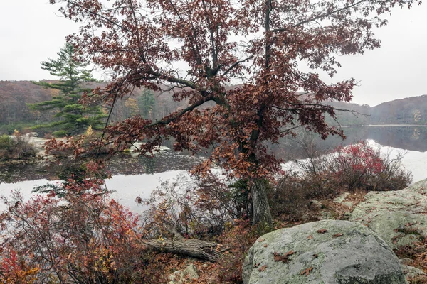 Harriman State Park, Estado de Nova Iorque — Fotografia de Stock