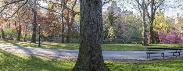 Central Park, New York City — Stockfoto